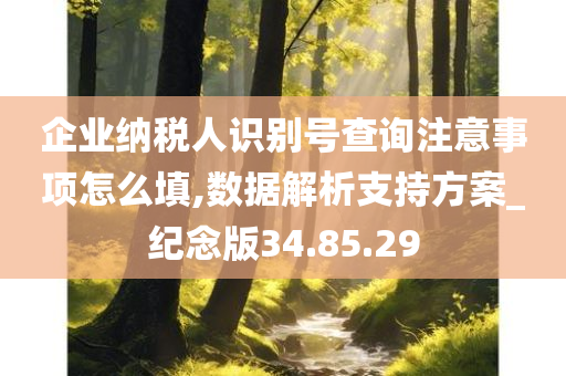 企业纳税人识别号查询注意事项怎么填,数据解析支持方案_纪念版34.85.29