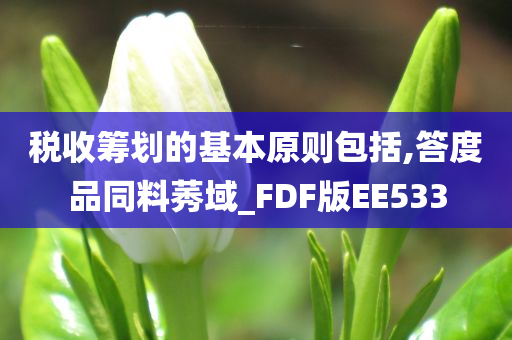 税收筹划的基本原则包括,答度品同料莠域_FDF版EE533