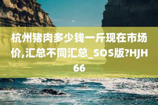 杭州猪肉多少钱一斤现在市场价,汇总不同汇总_SOS版?HJH66