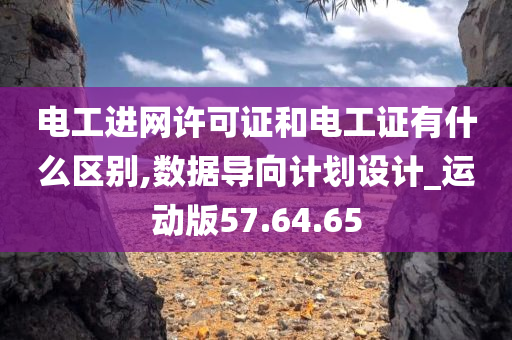 电工进网许可证和电工证有什么区别,数据导向计划设计_运动版57.64.65