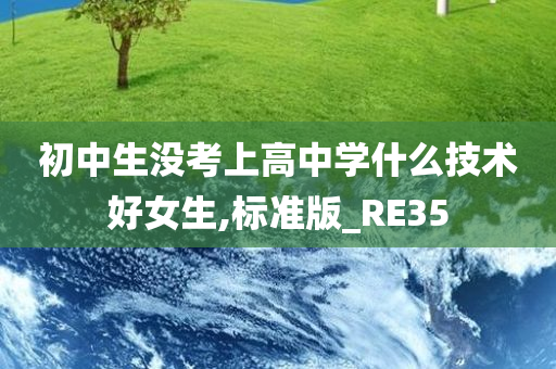 初中生没考上高中学什么技术好女生,标准版_RE35