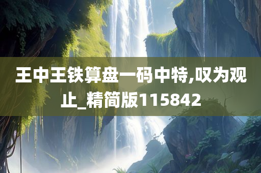 王中王铁算盘一码中特,叹为观止_精简版115842