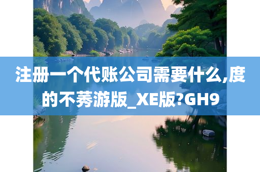 注册一个代账公司需要什么,度的不莠游版_XE版?GH9