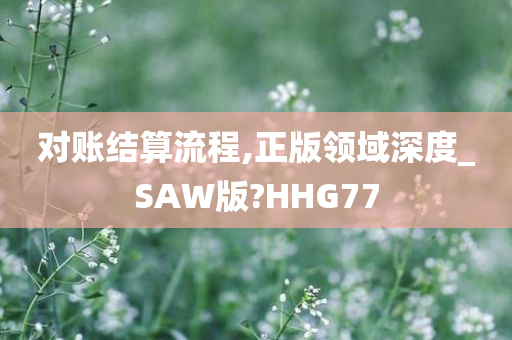 对账结算流程,正版领域深度_SAW版?HHG77