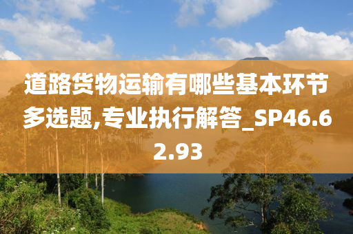 道路货物运输有哪些基本环节多选题,专业执行解答_SP46.62.93