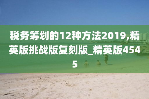 税务筹划的12种方法2019,精英版挑战版复刻版_精英版4545