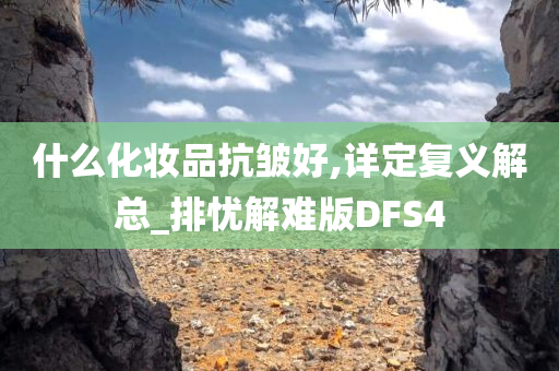 什么化妆品抗皱好,详定复义解总_排忧解难版DFS4