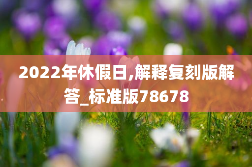 2022年休假日,解释复刻版解答_标准版78678