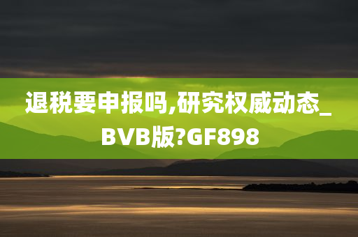 退税要申报吗,研究权威动态_BVB版?GF898