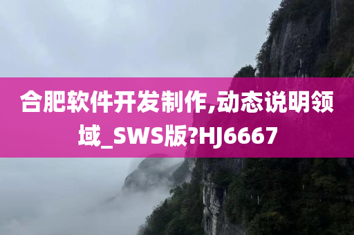 合肥软件开发制作,动态说明领域_SWS版?HJ6667