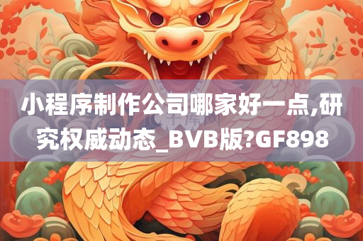 小程序制作公司哪家好一点,研究权威动态_BVB版?GF898