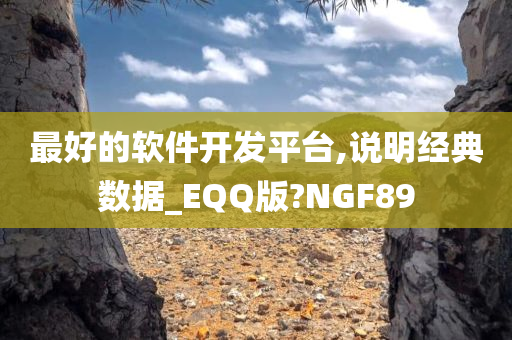 最好的软件开发平台,说明经典数据_EQQ版?NGF89