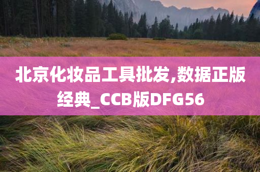 北京化妆品工具批发,数据正版经典_CCB版DFG56