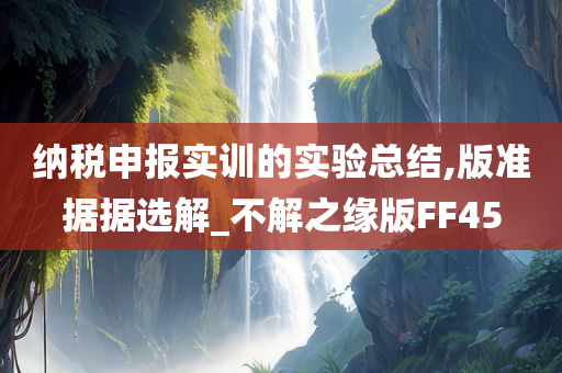 纳税申报实训的实验总结,版准据据选解_不解之缘版FF45