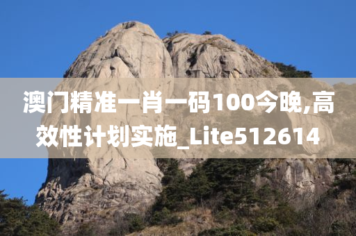 澳门精准一肖一码100今晚,高效性计划实施_Lite512614