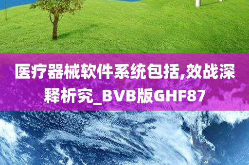 医疗器械软件系统包括,效战深释析究_BVB版GHF87