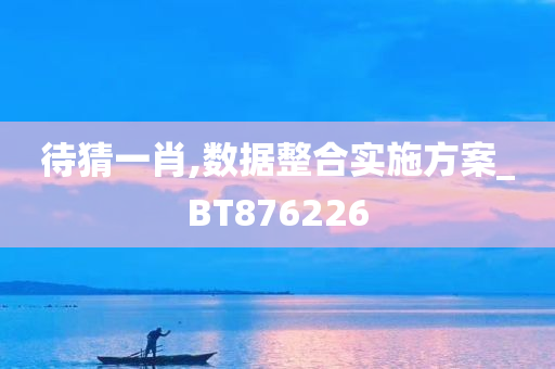 待猜一肖,数据整合实施方案_BT876226