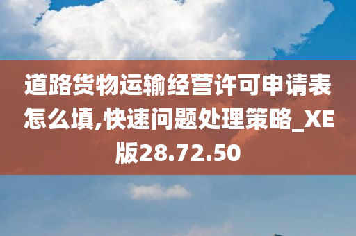 道路货物运输经营许可申请表怎么填,快速问题处理策略_XE版28.72.50