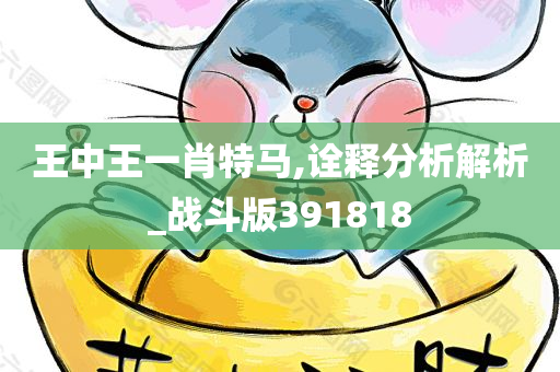 王中王一肖特马,诠释分析解析_战斗版391818