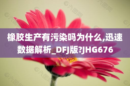 橡胶生产有污染吗为什么,迅速数据解析_DFJ版?JHG676