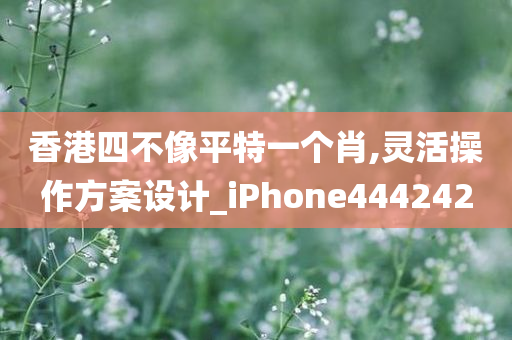 香港四不像平特一个肖,灵活操作方案设计_iPhone444242