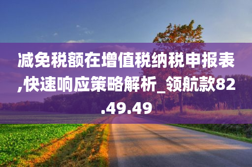 减免税额在增值税纳税申报表,快速响应策略解析_领航款82.49.49