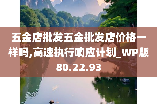 五金店批发五金批发店价格一样吗,高速执行响应计划_WP版80.22.93