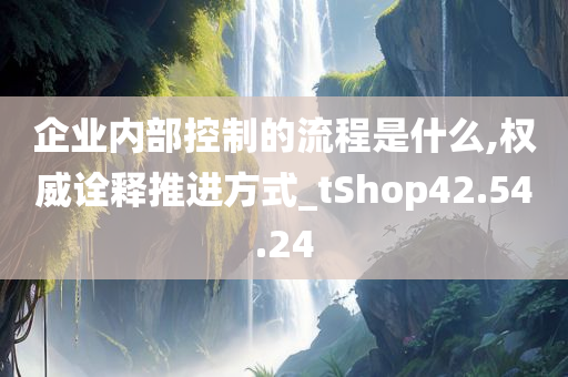 企业内部控制的流程是什么,权威诠释推进方式_tShop42.54.24