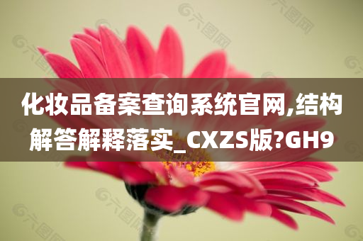 化妆品备案查询系统官网,结构解答解释落实_CXZS版?GH9