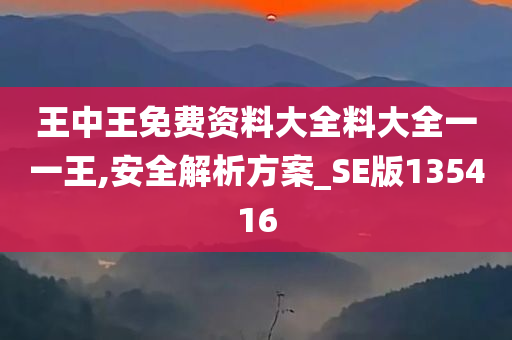 王中王免费资料大全料大全一一王,安全解析方案_SE版135416