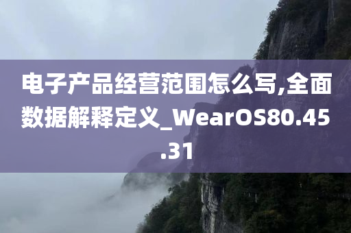 电子产品经营范围怎么写,全面数据解释定义_WearOS80.45.31