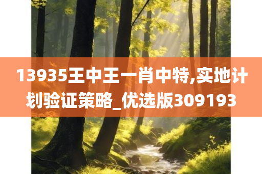 13935王中王一肖中特,实地计划验证策略_优选版309193