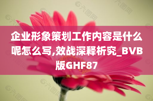 企业形象策划工作内容是什么呢怎么写,效战深释析究_BVB版GHF87