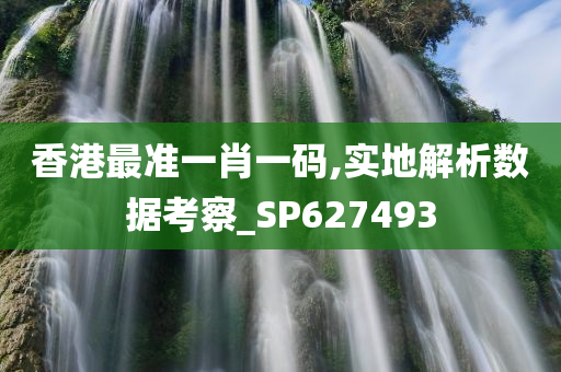 香港最准一肖一码,实地解析数据考察_SP627493