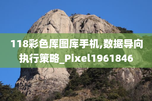 118彩色厍图库手机,数据导向执行策略_Pixel1961846