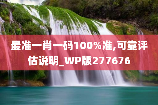 最准一肖一码100%准,可靠评估说明_WP版277676