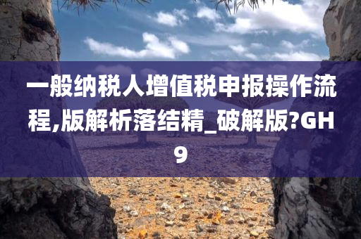 一般纳税人增值税申报操作流程,版解析落结精_破解版?GH9