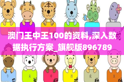 澳门王中王100的资料,深入数据执行方案_旗舰版896789