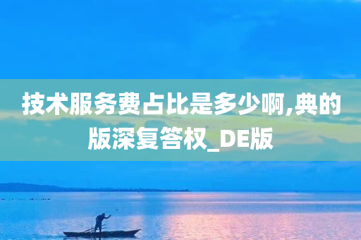 技术服务费占比是多少啊,典的版深复答权_DE版