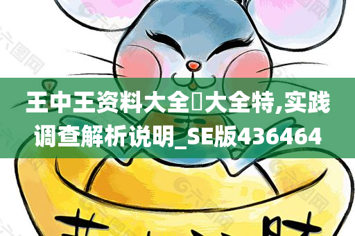 王中王资料大全枓大全特,实践调查解析说明_SE版436464