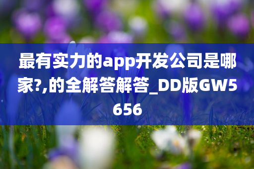 最有实力的app开发公司是哪家?,的全解答解答_DD版GW5656