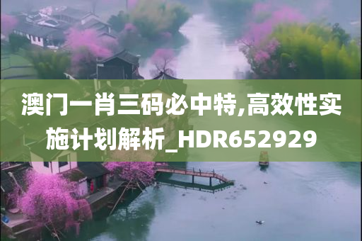 澳门一肖三码必中特,高效性实施计划解析_HDR652929