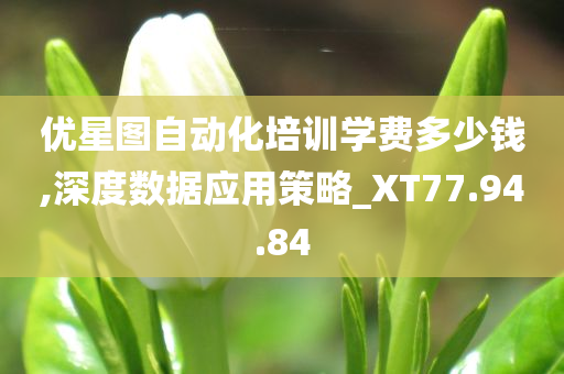 优星图自动化培训学费多少钱,深度数据应用策略_XT77.94.84