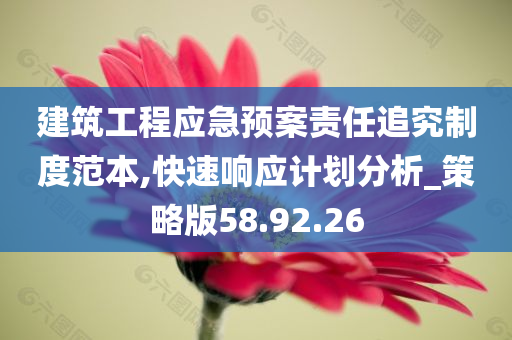 建筑工程应急预案责任追究制度范本,快速响应计划分析_策略版58.92.26