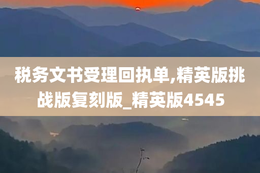 税务文书受理回执单,精英版挑战版复刻版_精英版4545