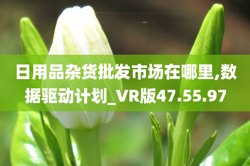 日用品杂货批发市场在哪里,数据驱动计划_VR版47.55.97