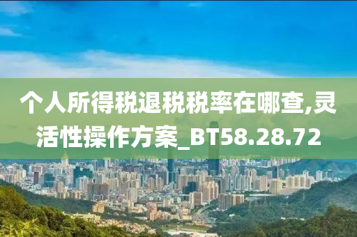 个人所得税退税税率在哪查,灵活性操作方案_BT58.28.72