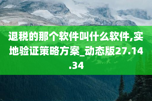 退税的那个软件叫什么软件,实地验证策略方案_动态版27.14.34