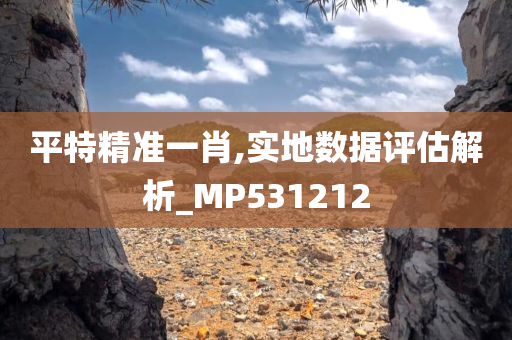 平特精准一肖,实地数据评估解析_MP531212