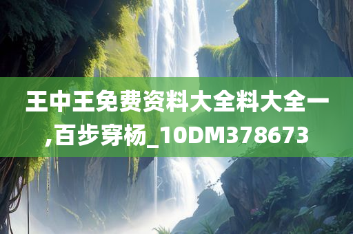 王中王免费资料大全料大全一,百步穿杨_10DM378673